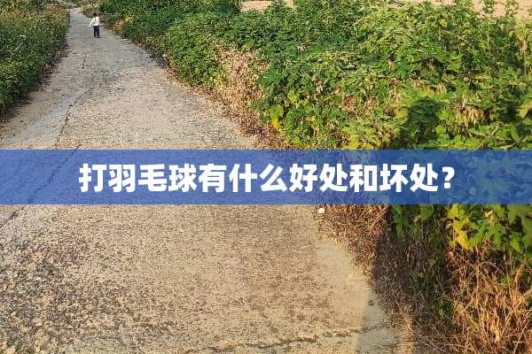 打羽毛球有什么好处和坏处？