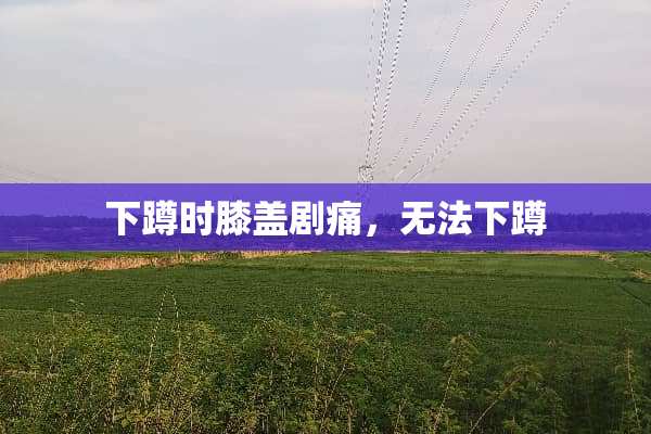 下蹲时膝盖剧痛，无法下蹲