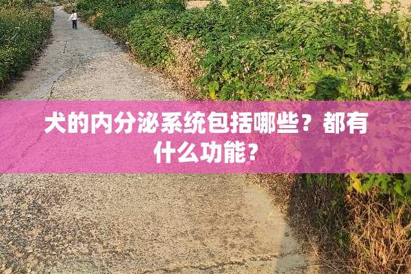 犬的内分泌系统包括哪些？都有什么功能？