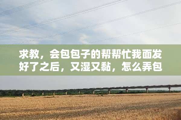 求教，会包包子的帮帮忙我面发好了之后，又湿又黏，怎么弄包子皮啊？