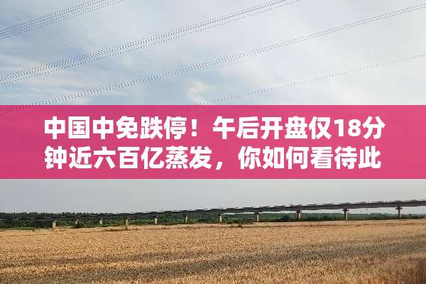 中国中免跌停！午后开盘仅18分钟近六百亿蒸发，你如何看待此事？