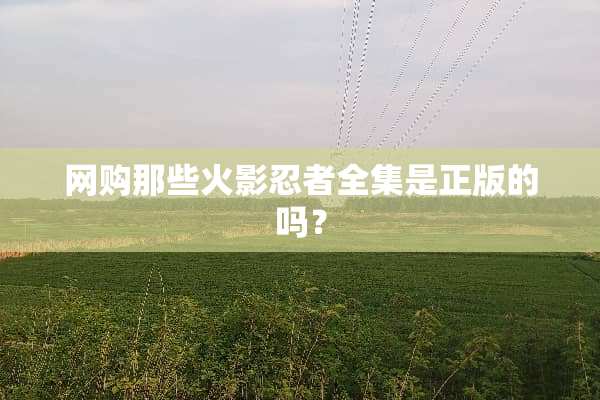 网购那些火影忍者全集是正版的吗？