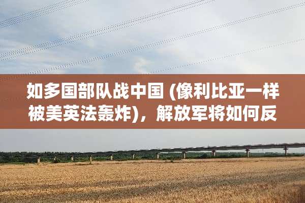 如多国**战中国 (像利比亚一样被美英法轰炸)，***将如何反抗呢？