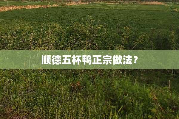 顺德五杯鸭正宗做法？