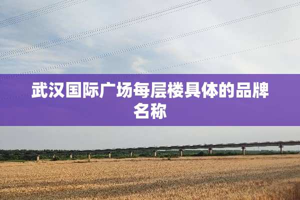 武汉国际广场每层楼具体的品牌名称