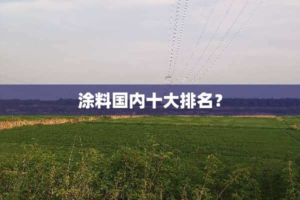 涂料国内十大排名？