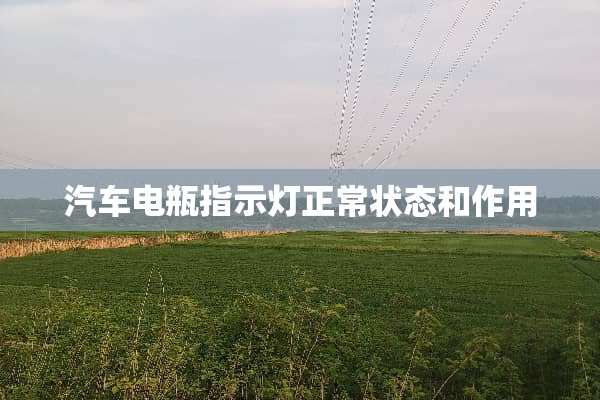 汽车电瓶指示灯正常状态和作用