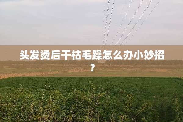 头发烫后干枯毛躁怎么办小妙招？
