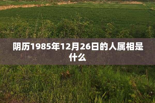 *历1985年12月26日的人属相是什么