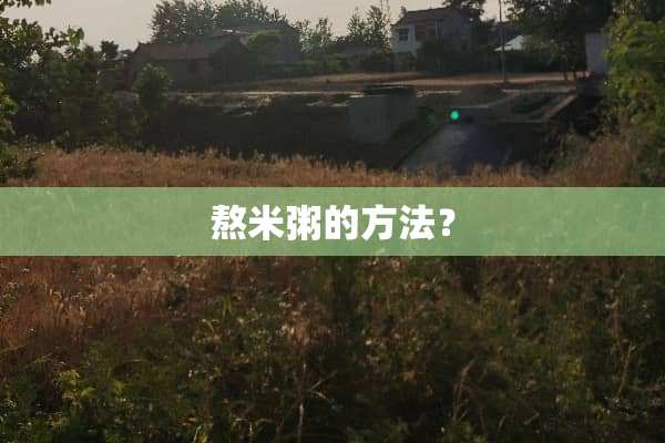 熬米粥的方法？