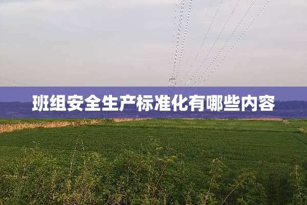 班组安全生产标准化有哪些内容