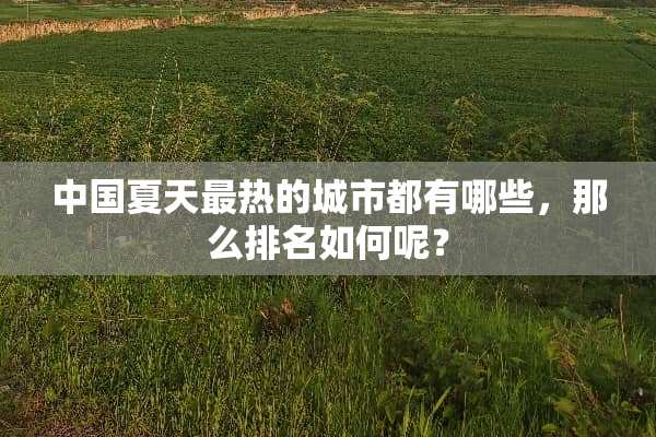 中国夏天最热的城市都有哪些，那么排名如何呢？