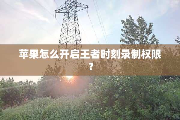 苹果怎么开启王者时刻录制权限？