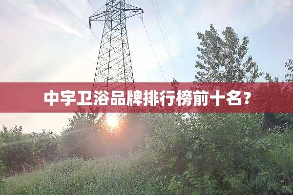 中宇卫浴品牌排行榜前十名？
