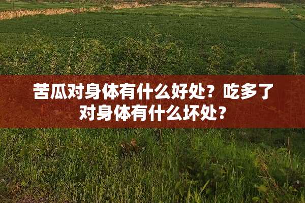 苦瓜对身体有什么好处？吃多了对身体有什么坏处？