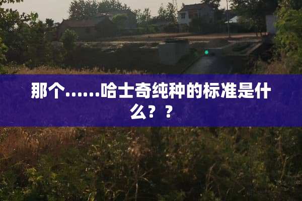 那个……哈士奇纯种的标准是什么？？