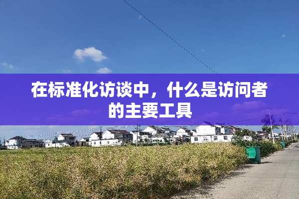 在标准化访谈中，什么是访问者的主要工具