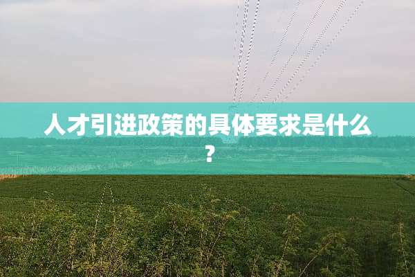 人才引进政策的具体要求是什么？