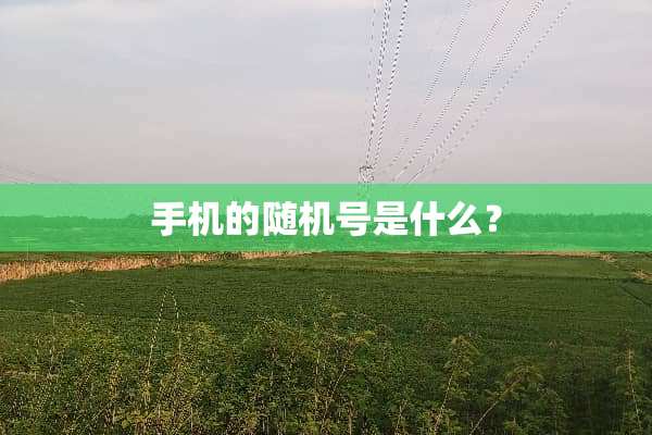 手机的随机号是什么？