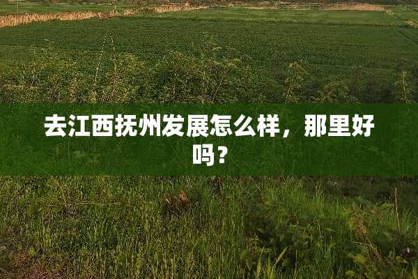 去江西抚州发展怎么样，那里好吗？