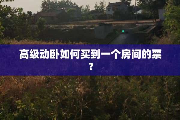 高级动卧如何买到一个房间的票？