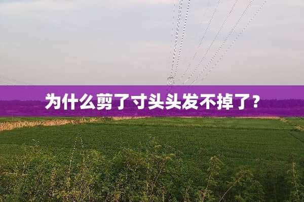 为什么剪了寸头头发不掉了？