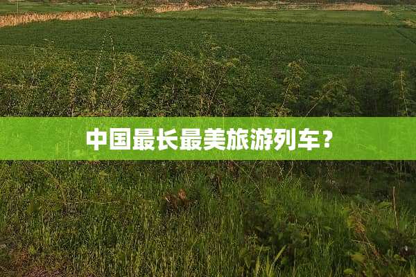 中国最长最美旅游列车？