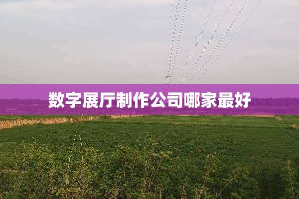 数字展厅制作公司哪家最好
