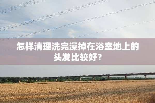 怎样清理洗完澡掉在浴室地上的头发比较好？