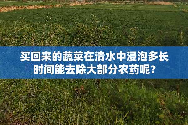 买回来的蔬菜在清水中浸泡多长时间能去除大部分农药呢？