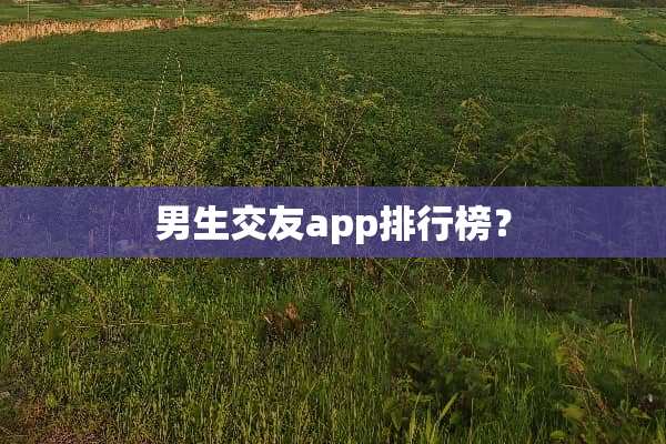 男生交友app排行榜？