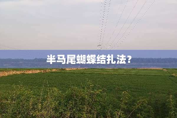 半马尾蝴蝶结扎法？