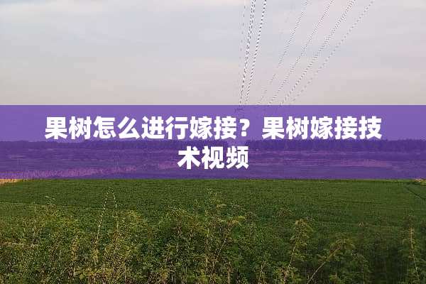 果树怎么进行嫁接？果树嫁接技术视频