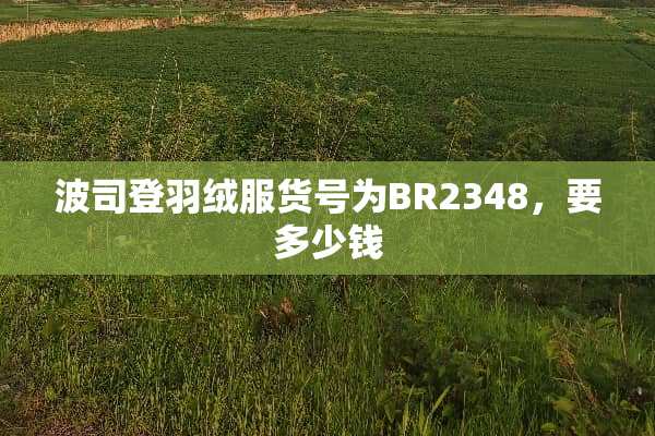 波司登羽绒服货号为BR2348，要多少钱