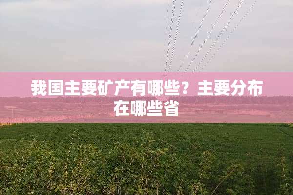 我国主要矿产有哪些？主要分布在哪些省