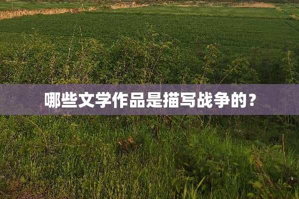 哪些文学作品是描写战争的？