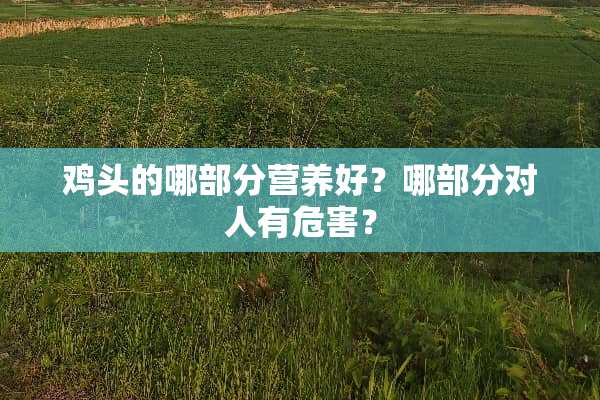 鸡头的哪部分营养好？哪部分对人有危害？