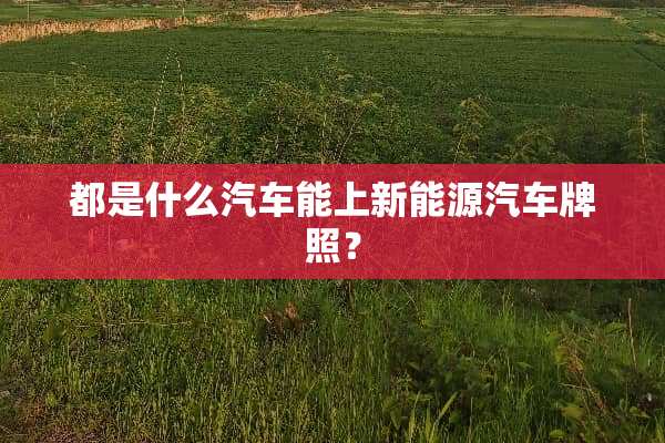 都是什么汽车能上新能源汽车牌照？