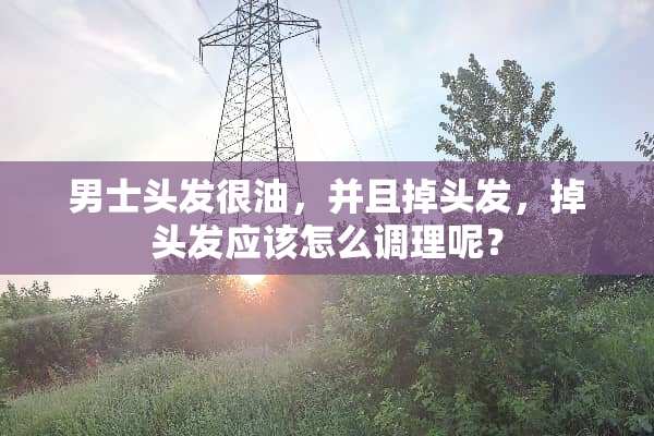 男士头发很油，并且掉头发，掉头发应该怎么调理呢？
