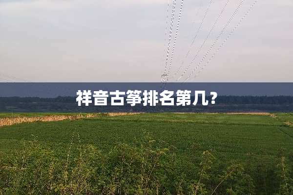 祥音古筝排名第几？