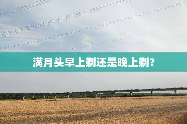 满月头早上剃还是晚上剃？