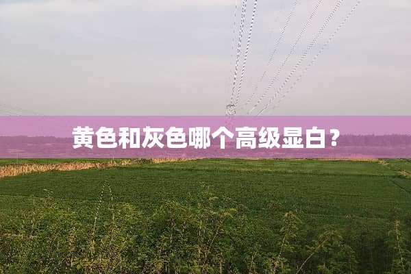 黄色和灰色哪个高级显白？