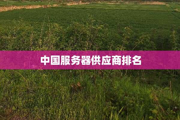 中国服务器供应商排名