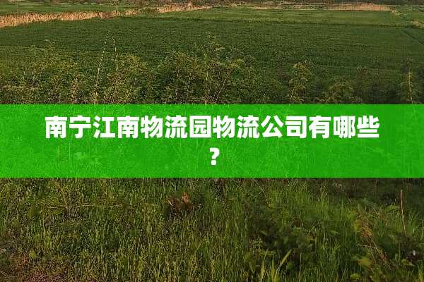 南宁江南物流园物流公司有哪些？