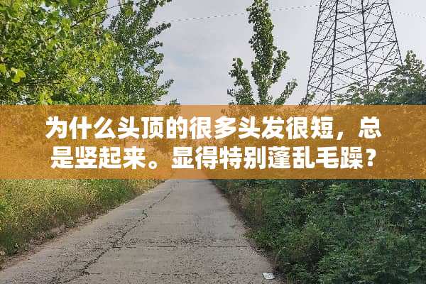 为什么头顶的很多头发很短，总是竖起来。显得特别蓬乱毛躁？