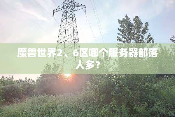 魔兽世界2、6区哪个服务器部落人多？
