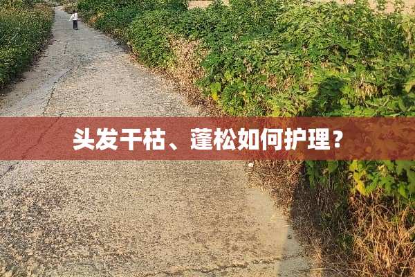 头发干枯、蓬松如何护理？