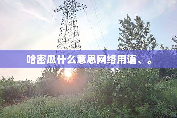 哈密瓜什么意思网络用语、。