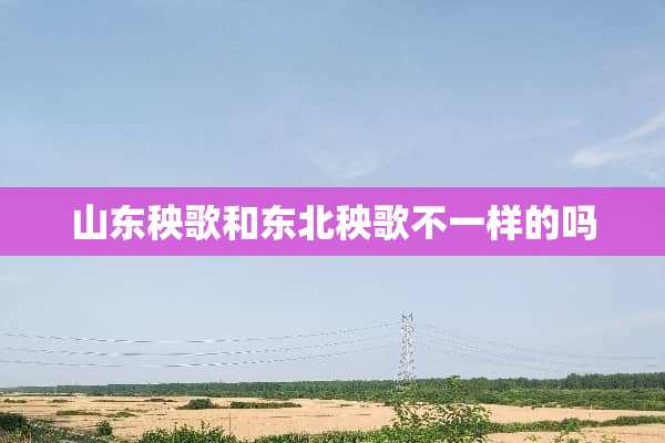 山东秧歌和东北秧歌不一样的吗