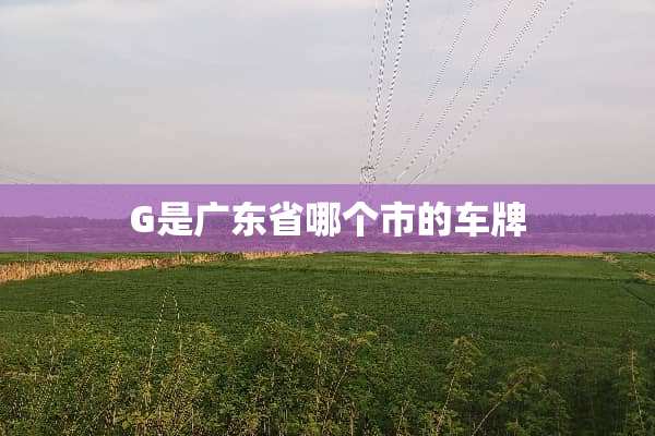 G是广东省哪个市的车牌